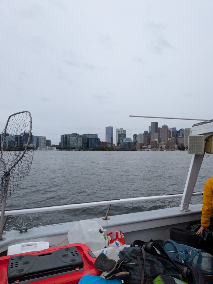 View of the Boston skyline from the boat on the ride home