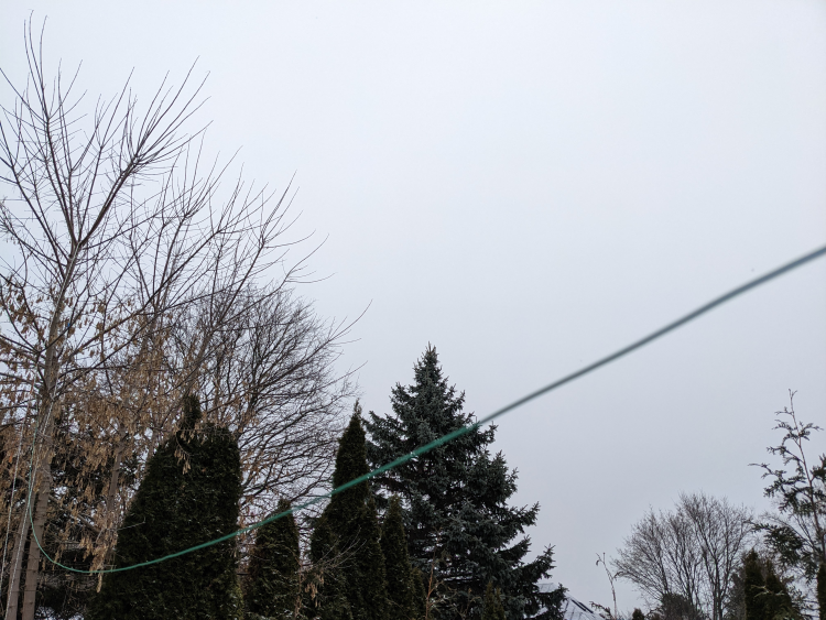 Light wire antenna hung from a tree about 20 feet away